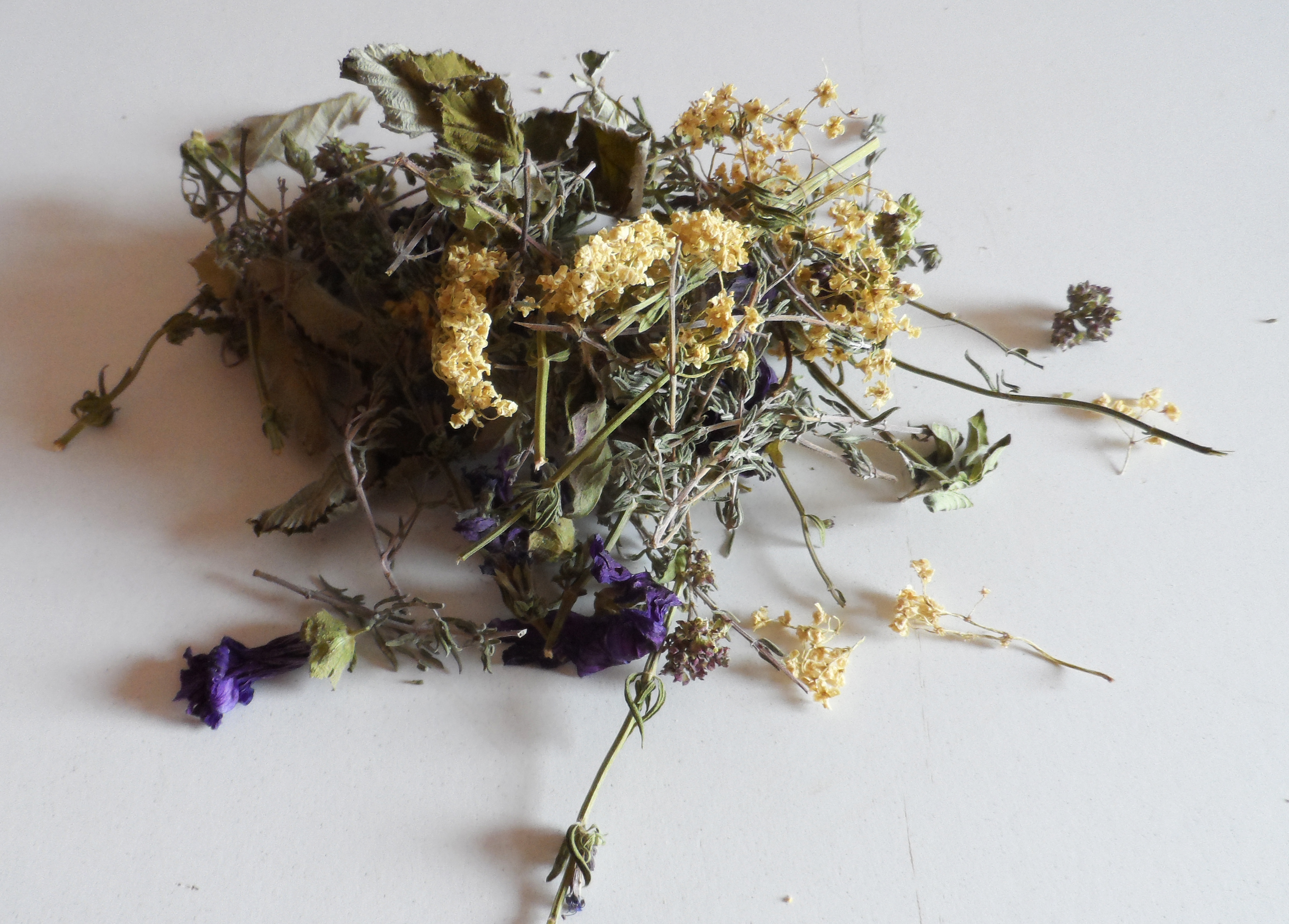 Du vent dans les branches