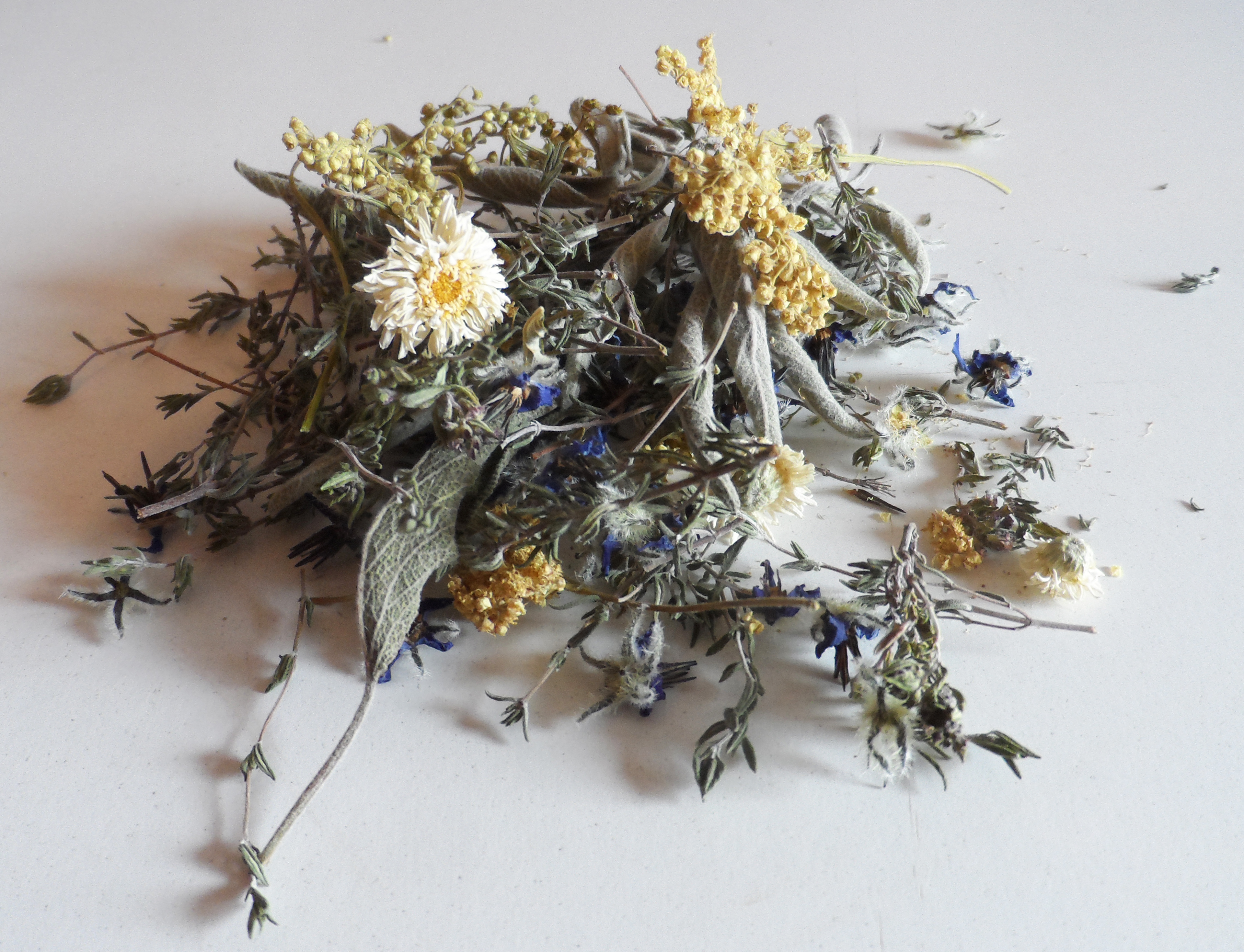 Le temps des frissons